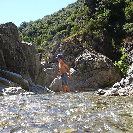 La Frigoule, Un Gite Au Coeur Du Parc Des Cevennes Generargues Zewnętrze zdjęcie