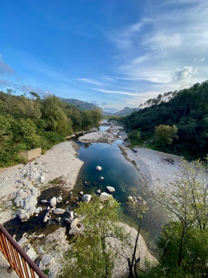 La Frigoule, Un Gite Au Coeur Du Parc Des Cevennes Generargues Zewnętrze zdjęcie