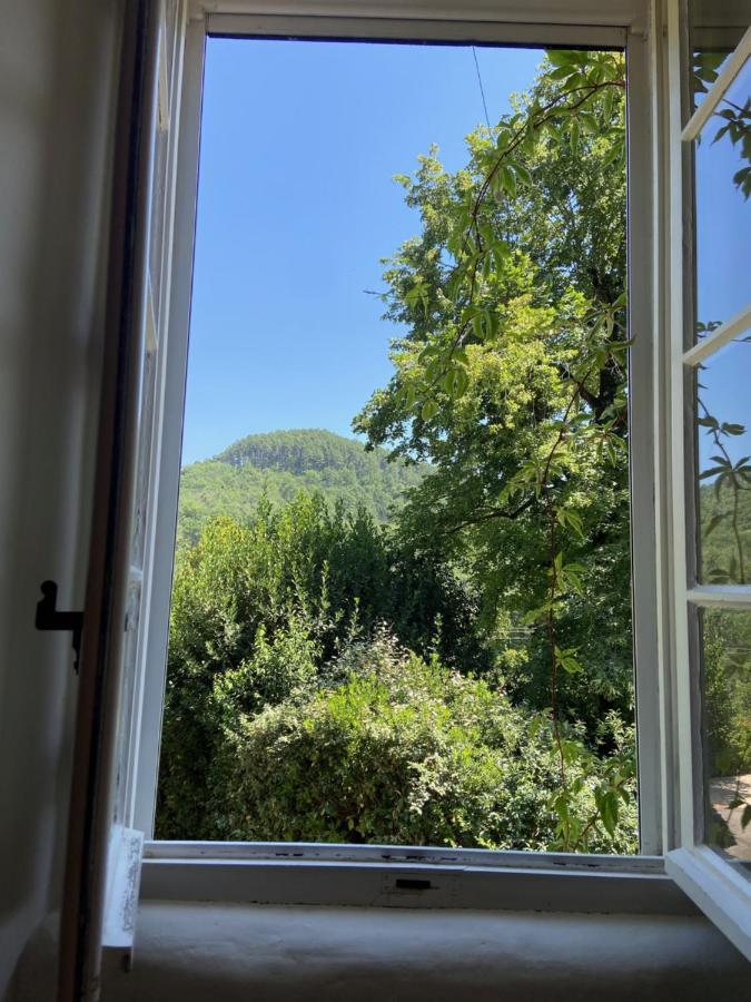 La Frigoule, Un Gite Au Coeur Du Parc Des Cevennes Generargues Zewnętrze zdjęcie