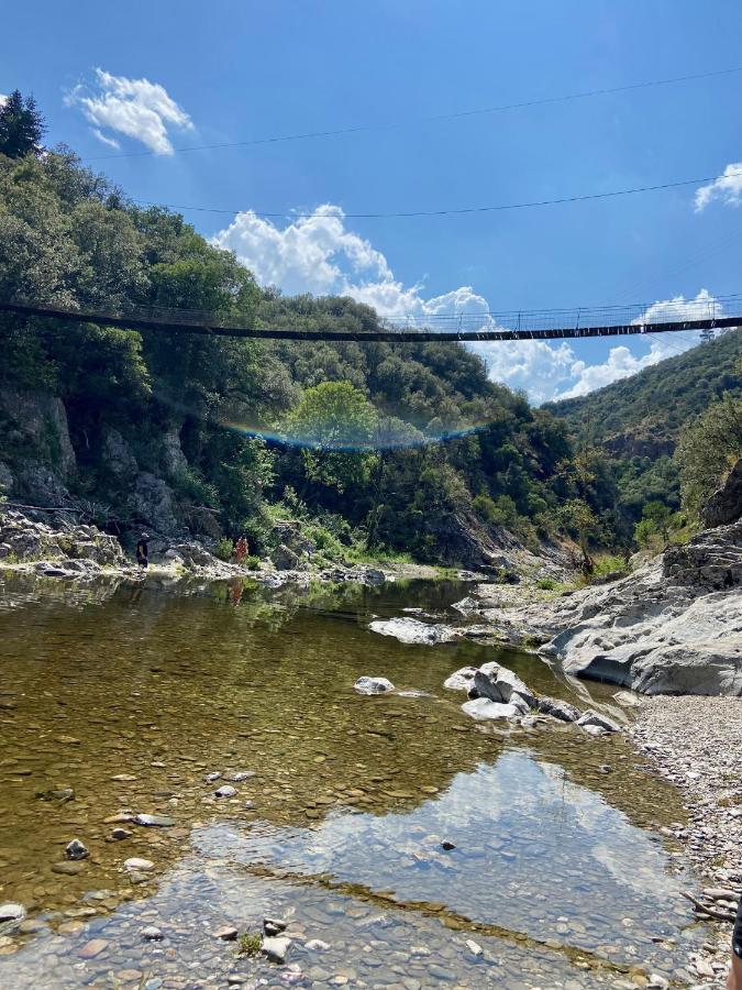 La Frigoule, Un Gite Au Coeur Du Parc Des Cevennes Generargues Zewnętrze zdjęcie